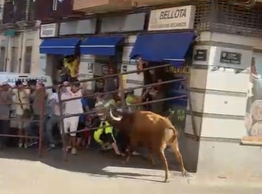 Caos en Cantalejo: un toro se escapa y causa pánico en las calles