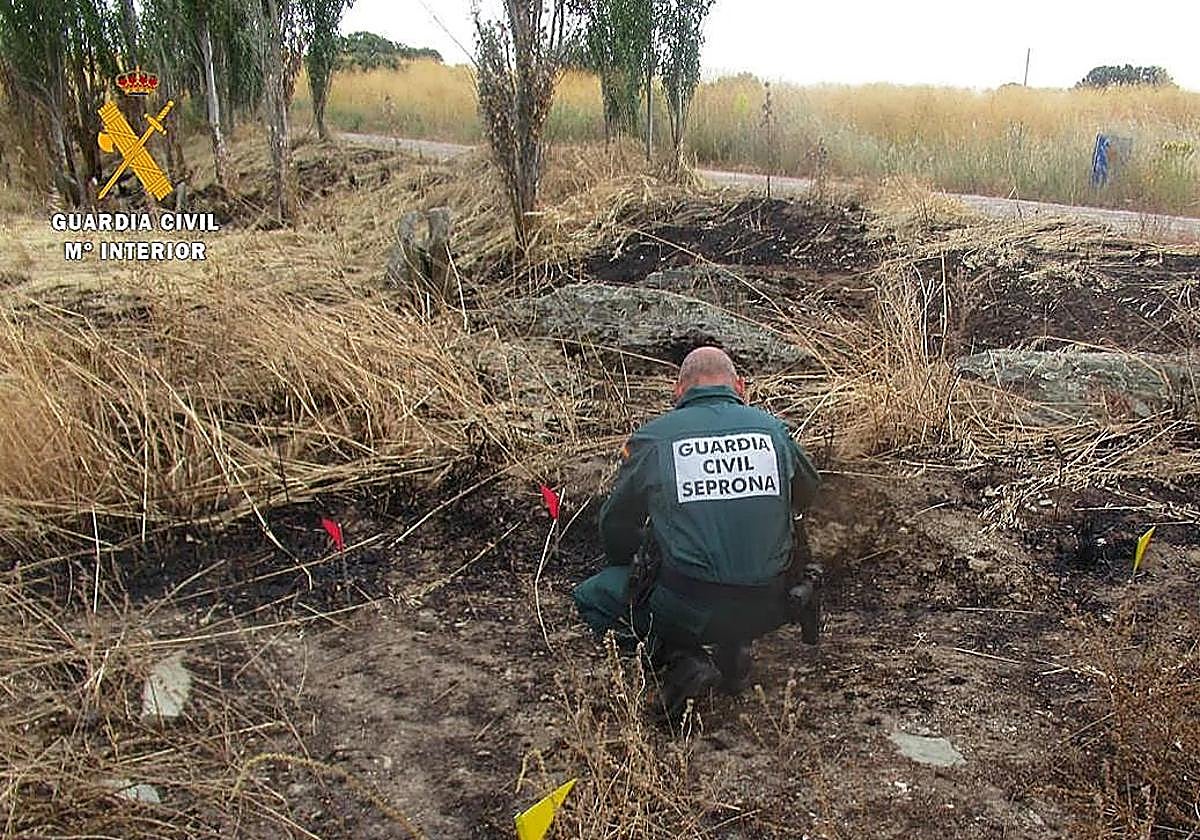 Condenan a un hombre a prisión y a pagar indemnización por incendio forestal en La Fregeneda, Salamanca.