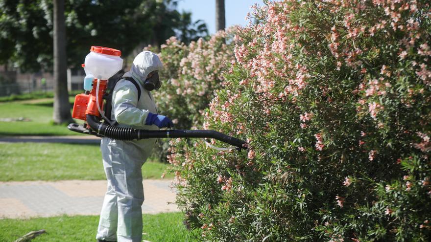 Andalucía detecta 26 casos de Virus del Nilo tras sumar cinco nuevos en las últimas horas
