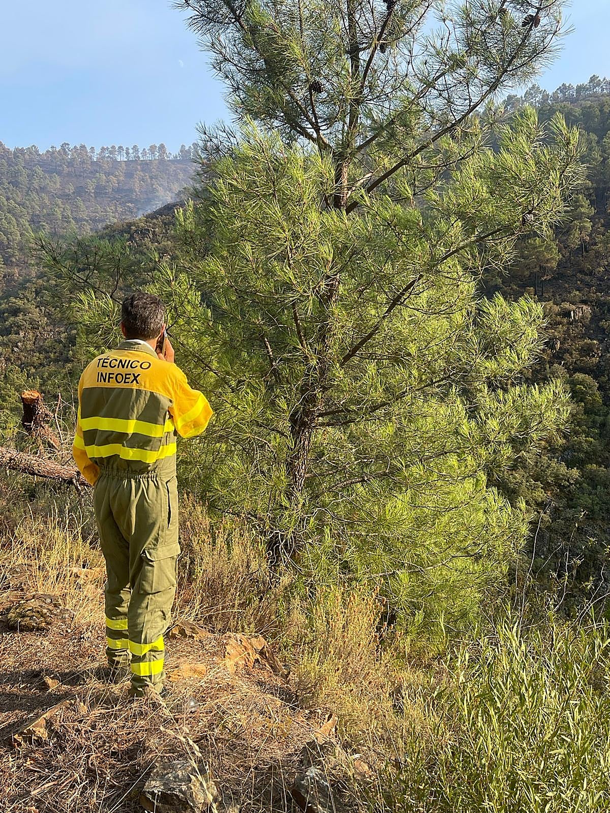 Incendios forestales: Más de medio centenar de efectivos continúan este sábado en Las Hurdes para controlar reactivaciones del incendio