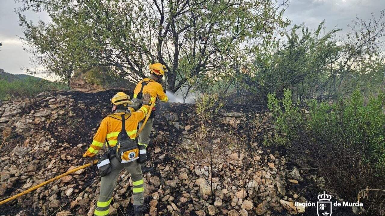 Extinguido un incendio agrícola en Bullas que amenazaba viviendas y una zona forestal