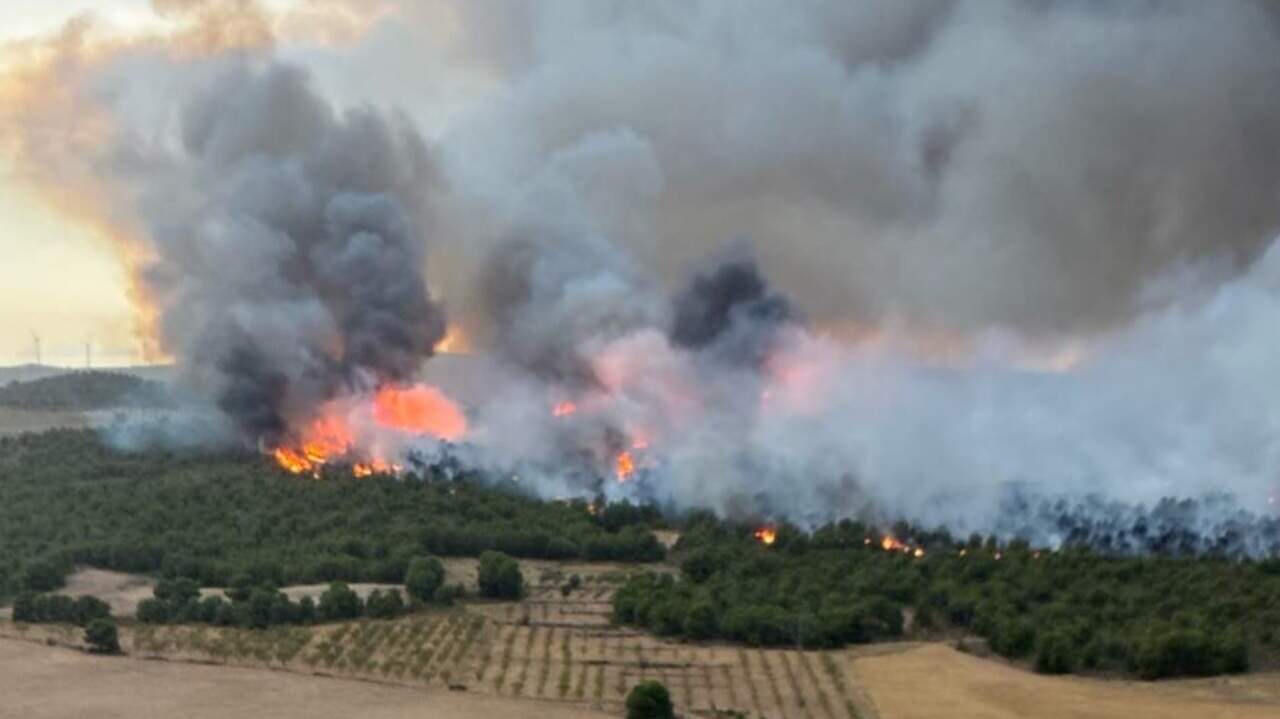 Declarado incendio en el Cerro Maestre de Jumilla: activado Plan Infomur y desplegados 50 efectivos para su extinción