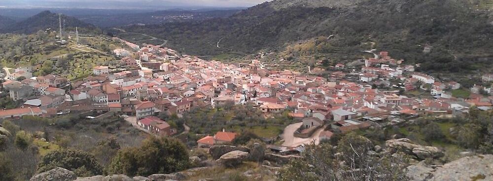 Guardia Civil busca con 20 agentes el león en San Vicente