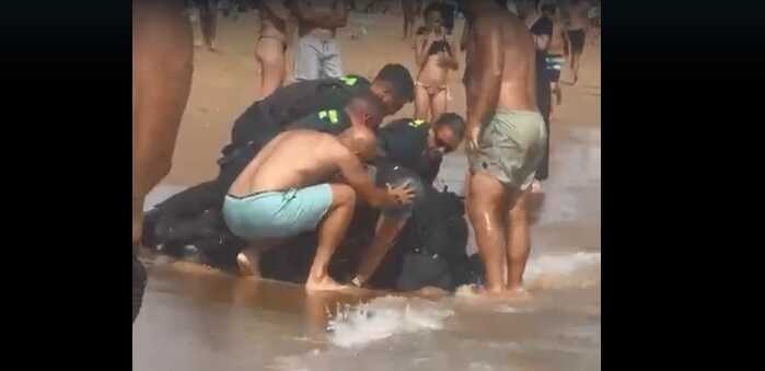 Persecución de película en Islantilla: lo detienen en el agua tras darse a la fuga