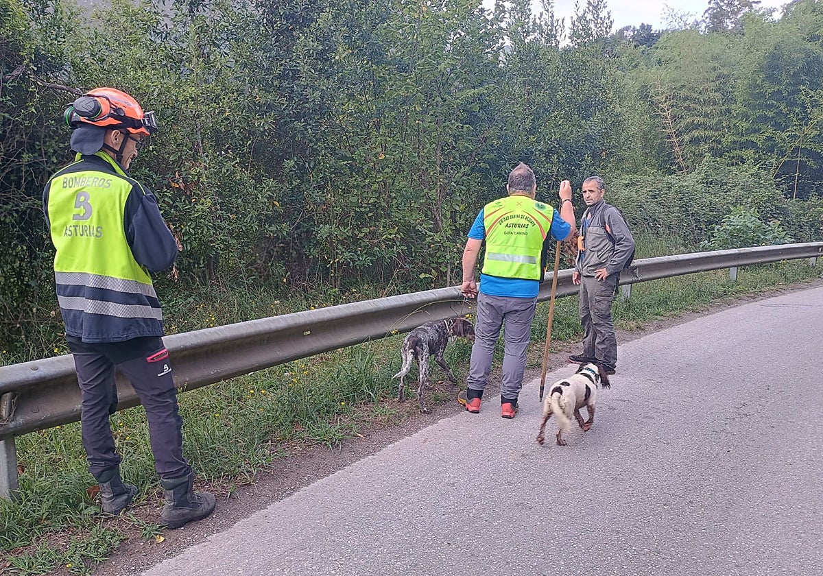 Movilizan drones y perros para un rastreo en Colunga: escucharon pedir ayuda anoche desde un matorral