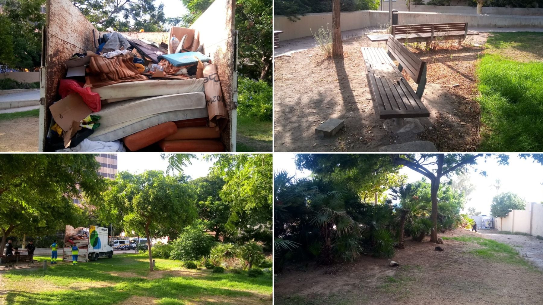 parque Albert Camus Palma okupas sin techo