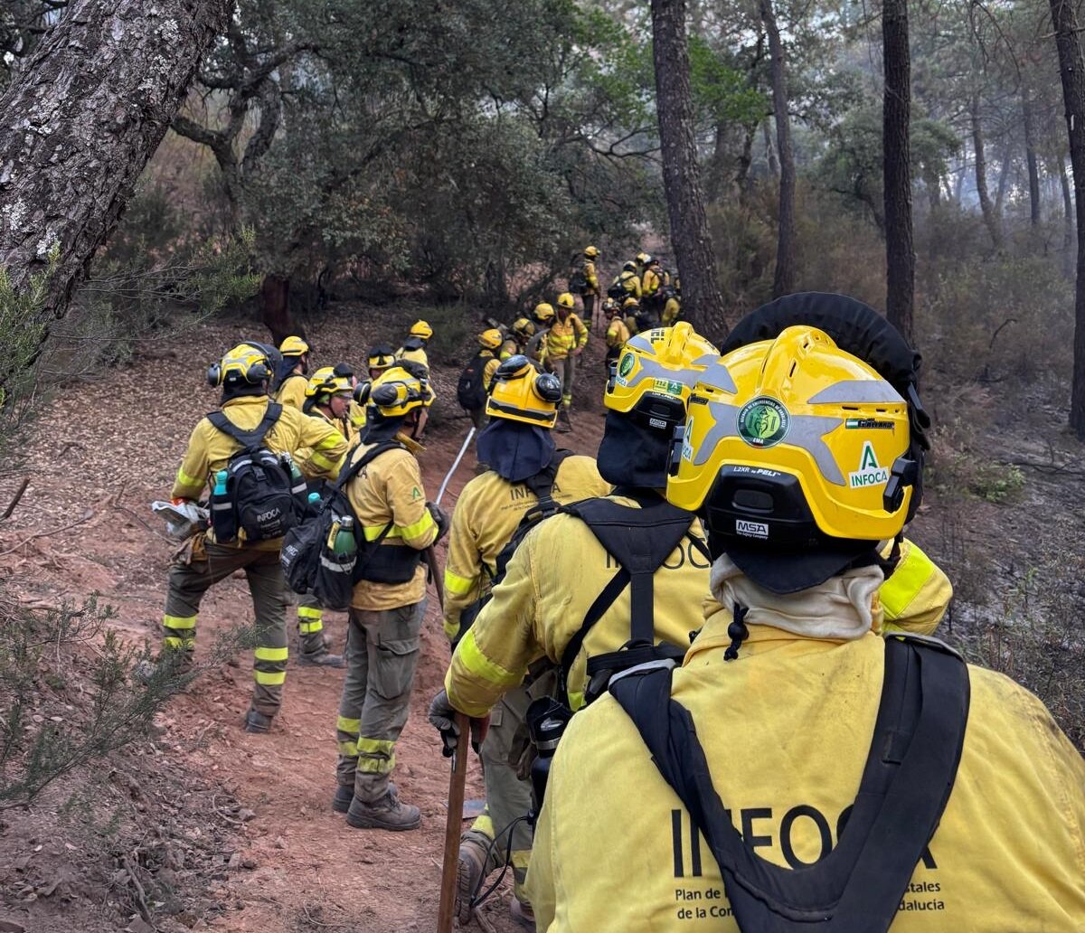 El Infoca suma 78 intervenciones por incendios en lo que va de año