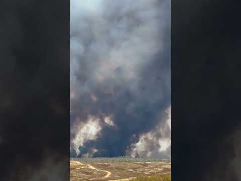 El incendio de Niebla afecta ya a m&aacute;s de 8.000 hect&aacute;reas (A. D&iacute;az)