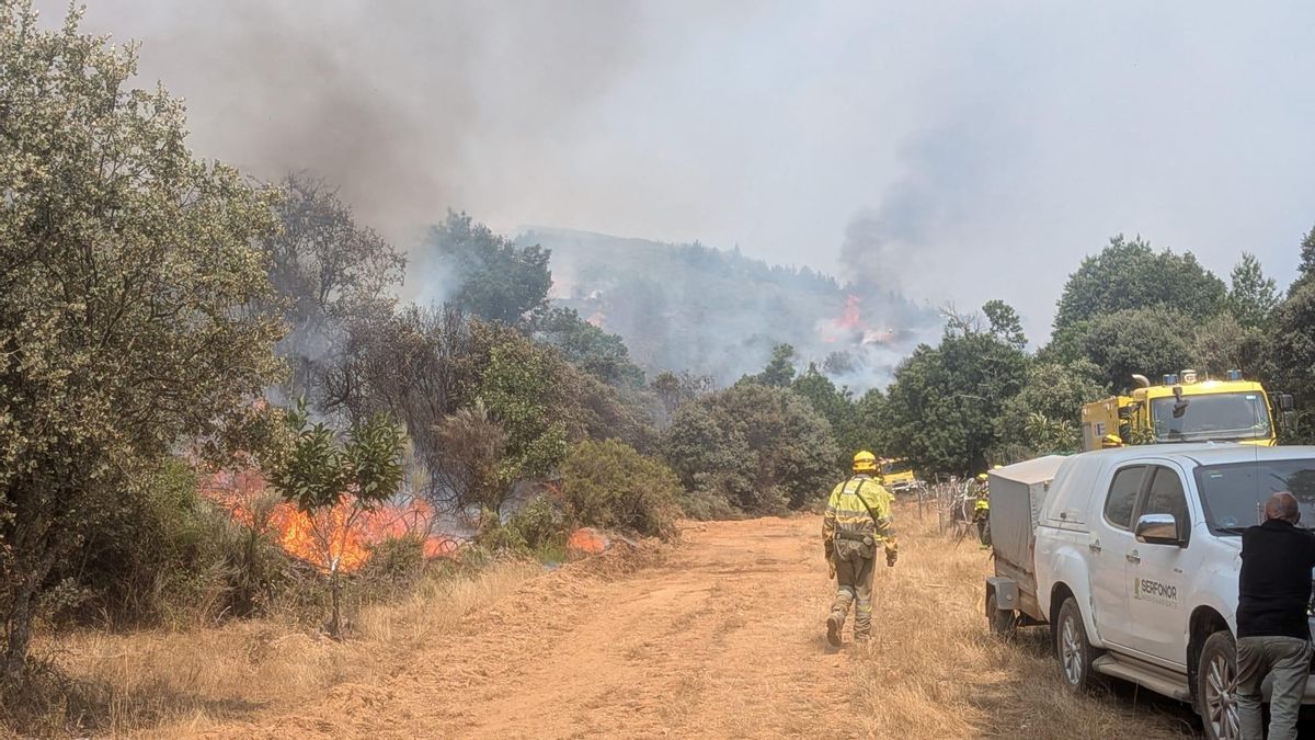 Bomberos forestales en el incendio de Veguellina.