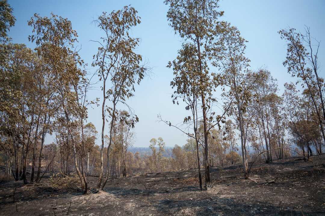 El incendio de Niebla ya recorre 28.000 hectáreas: afirman que ha sido una noche "compleja" pero "se frena" su crecimiento