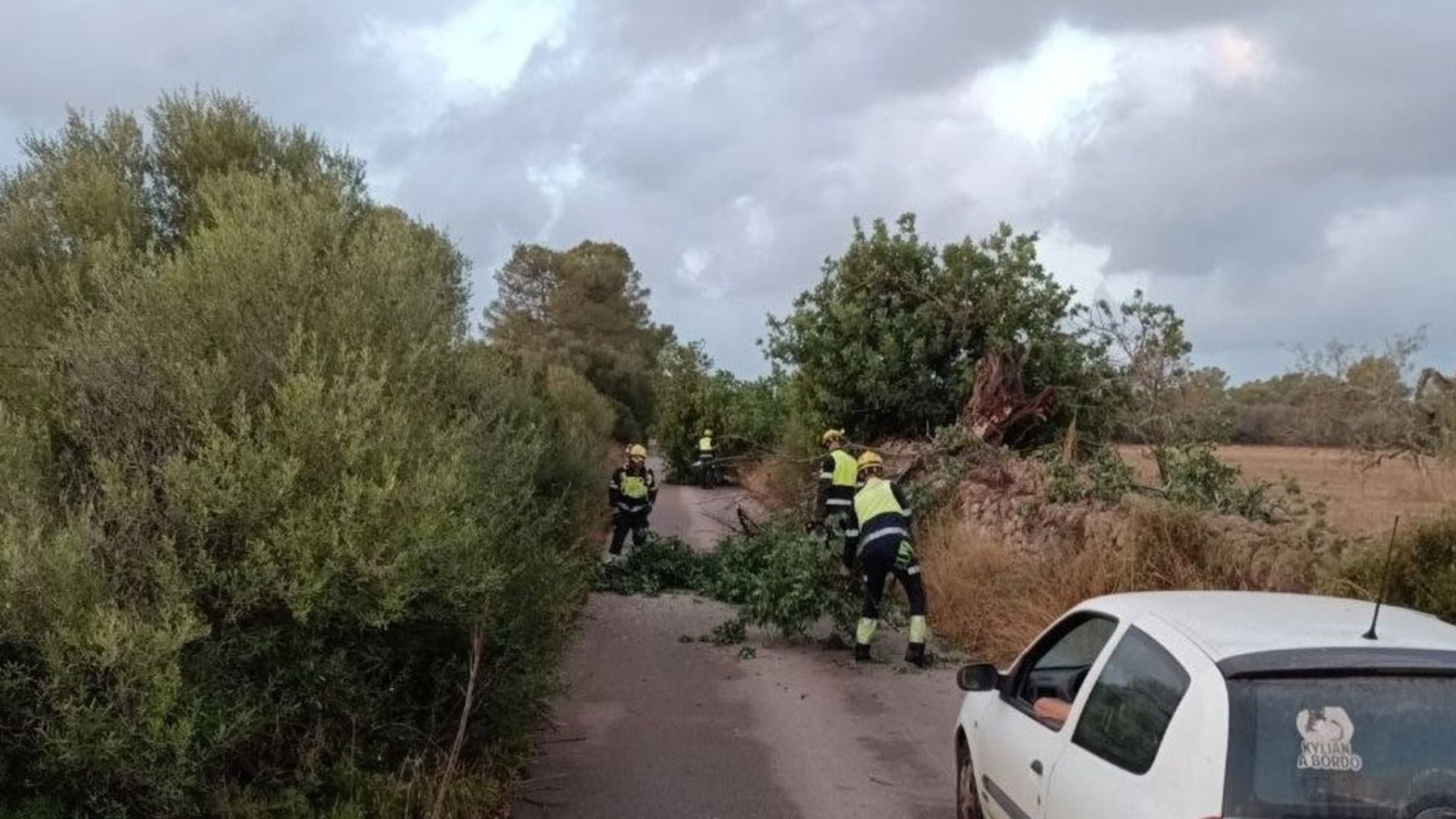 El temporal de lluvia y viento deja 109 incidencias en Baleares, con Menorca y Mallorca entre las zonas más afectadas