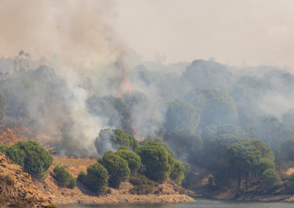 Un experto alerta de la enorme dificultad para extinguir el incendio de Niebla: "Ha creado su propia atmósfera"