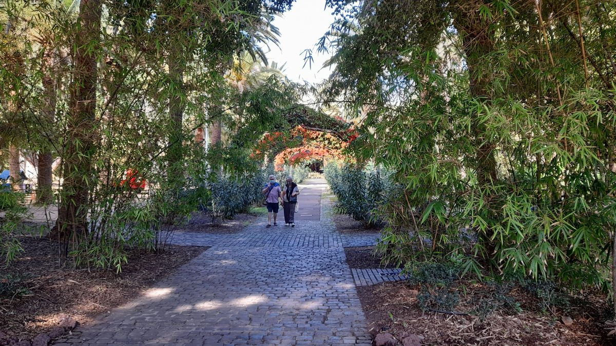 Uno de los paseos del Parque García Sanabria, en Santa Cruz de Tenerife.