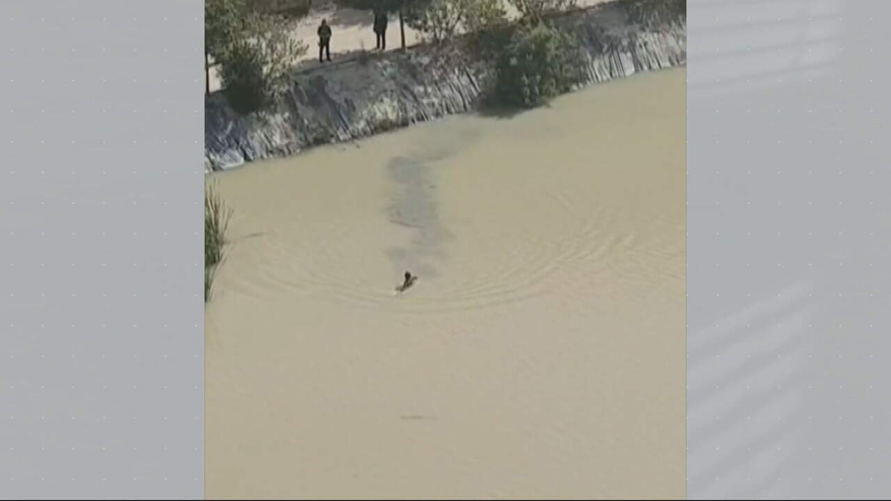 Hombre se lanza al río Segura en Murcia para evitar ser identificado por la Policía Nacional