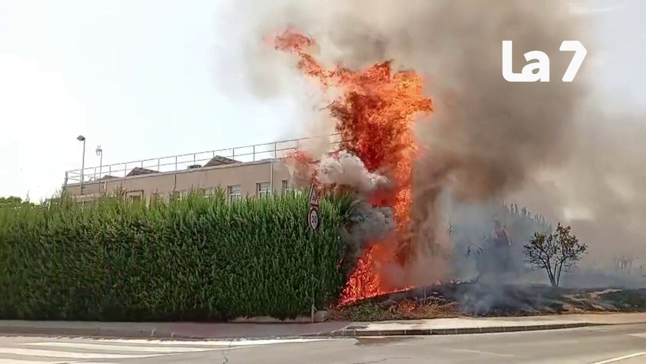 Los bomberos sofocan un incendio de matorrales en San Ginés, Murcia