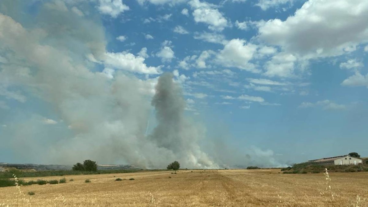 Los Bombers trabajan en un incendio en un campo segado de Agramunt