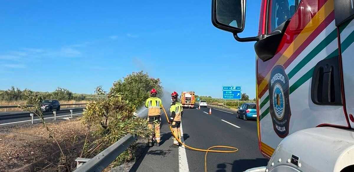 Incendio en la mediana de la A-49