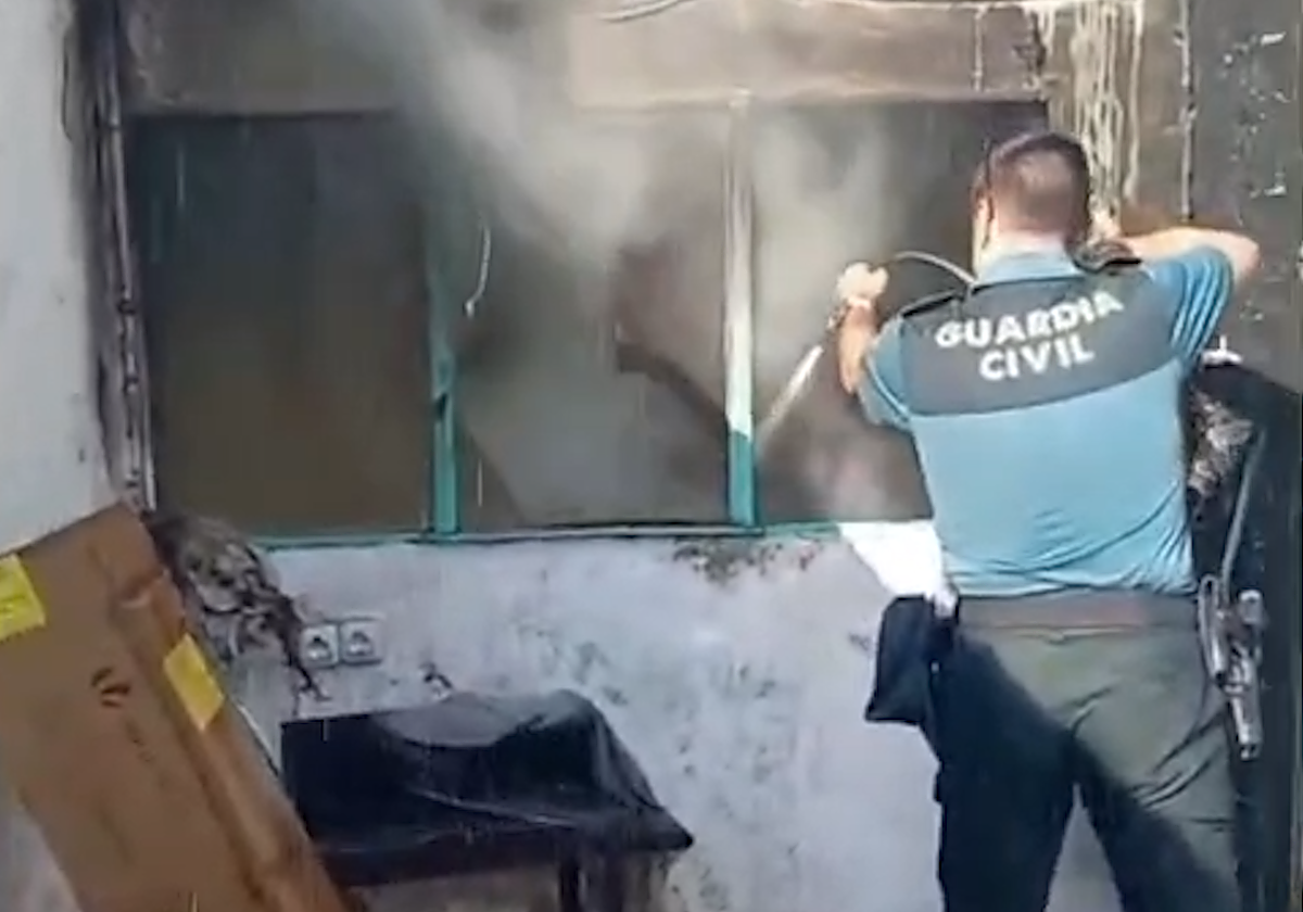 Sucesos: Auxilian a un hombre y rescatan a cuatro mascotas en el incendio de una vivienda en Madrigalejo