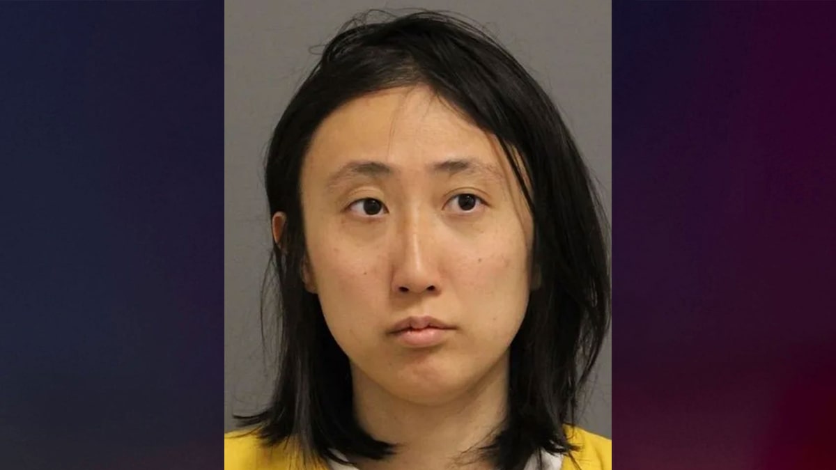Woman accused of stabbing boyfriend, cutting off his penis amid paternity dispute pleads not guilty by reason of insanity