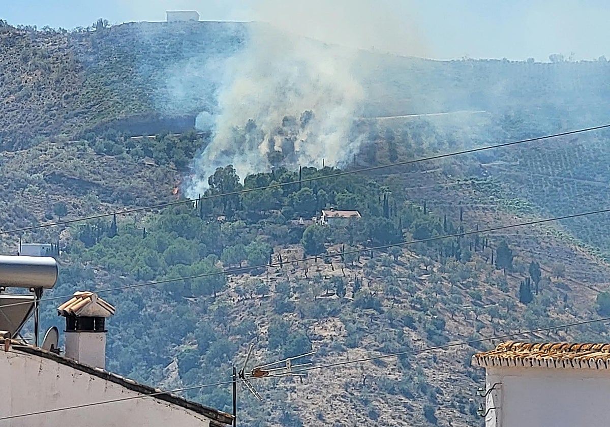 Extinguido el incendio forestal en Macharaviaya