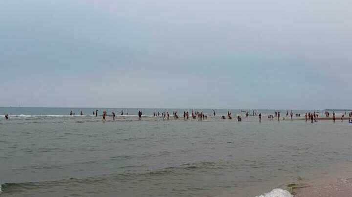 Indignación en Isla Cristina: decenas de personas arrasan con coquinas en la playa durante la bajamar