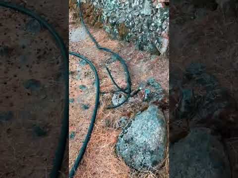 Sabotaje a un d&iacute;a de la Feria: cortan los cables de luz en Santa Olalla del Cala