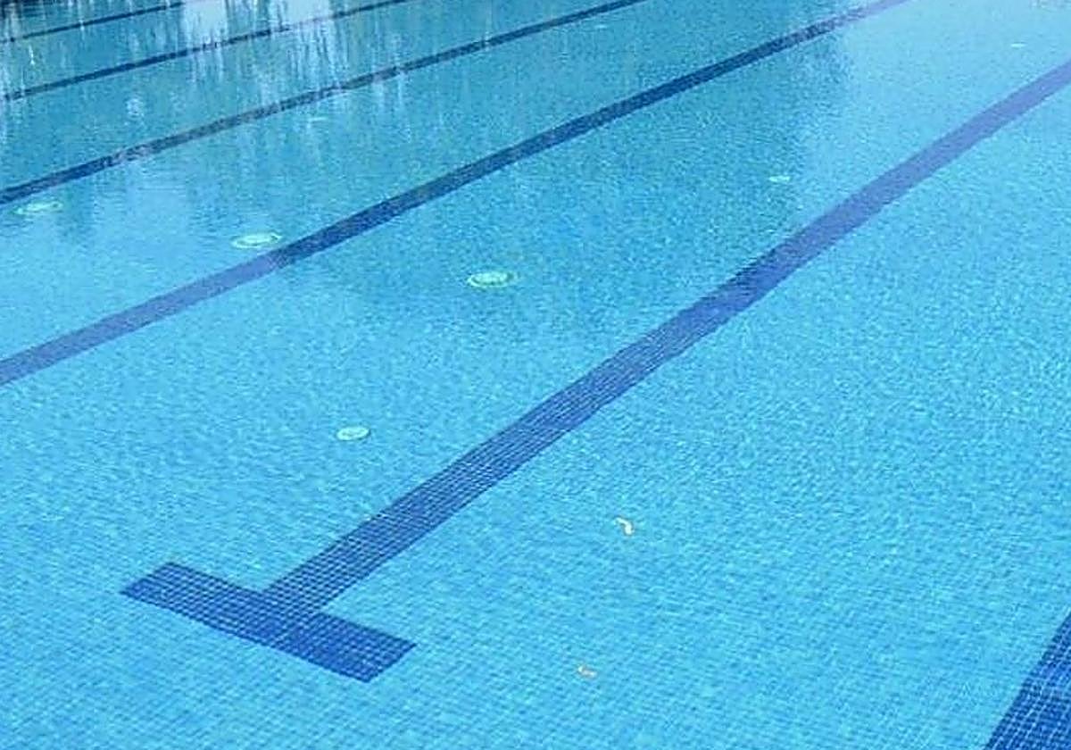 Muere un hombre de 58 años en una piscina de un cortijo en Cómpeta