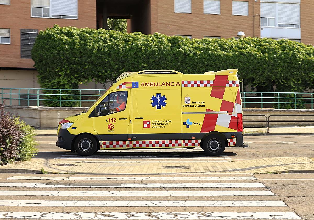 Un joven resulta herido tras caída de higuera sobre su vehículo en Salamanca