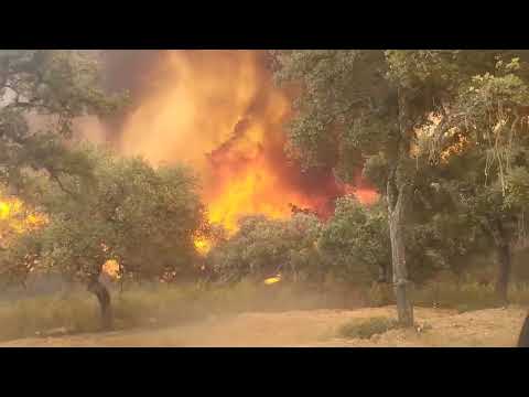 Vídeos: un vecino graba el brutal avance del incendio de Niebla