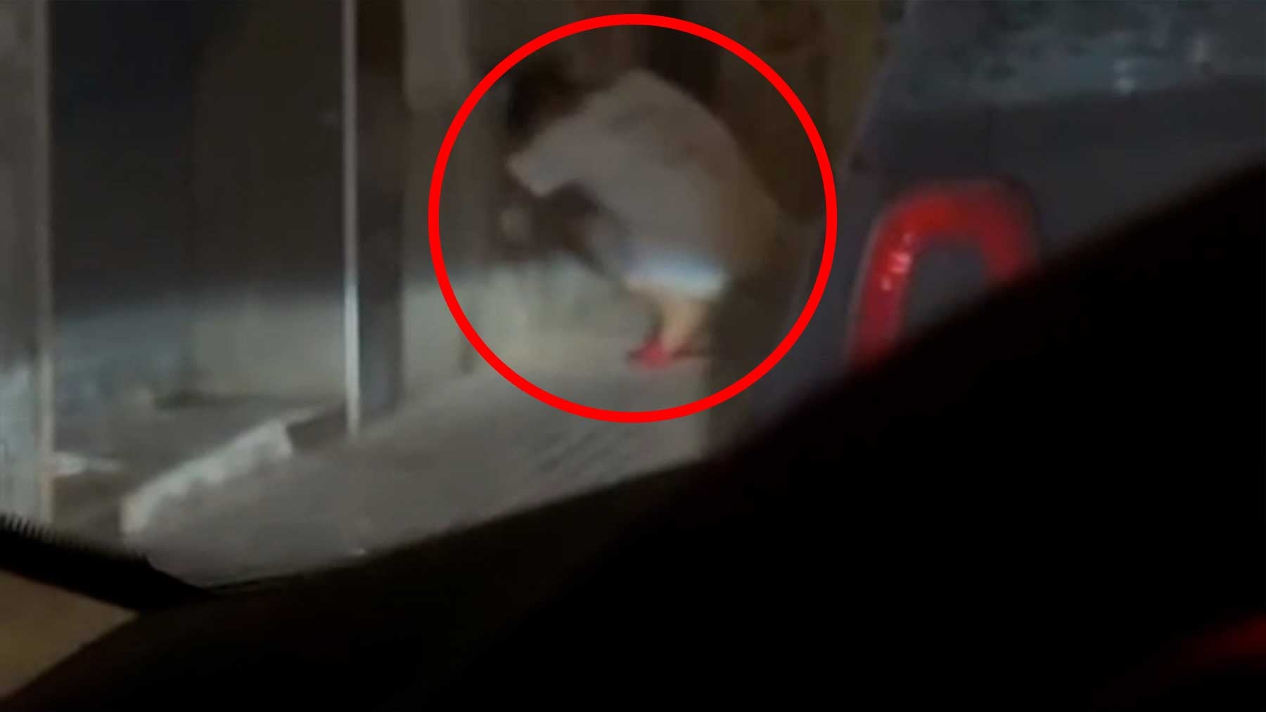 Ver vídeo