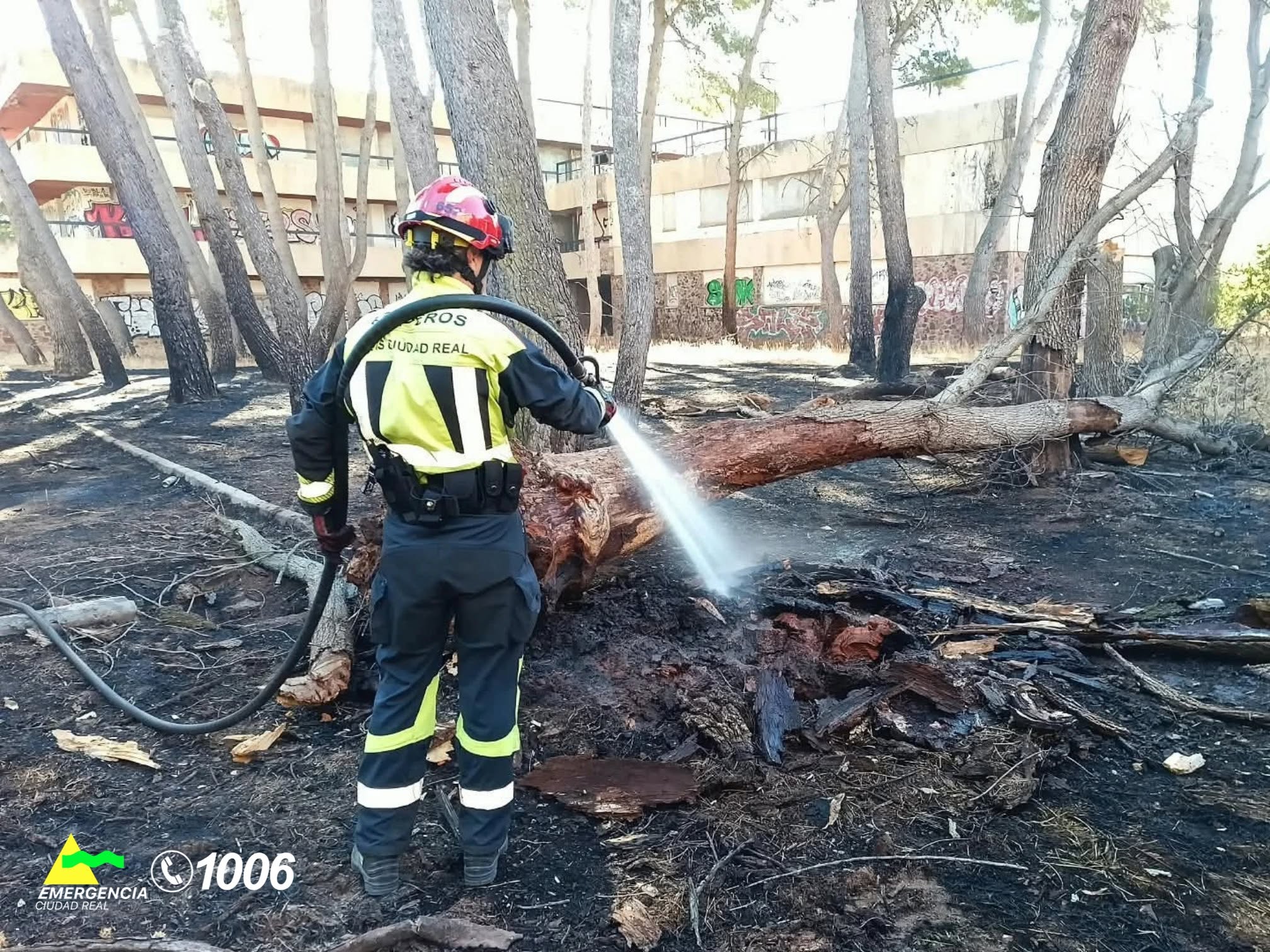 Derribado un árbol incandescente desde hace varios días en Alcázar de San Juan