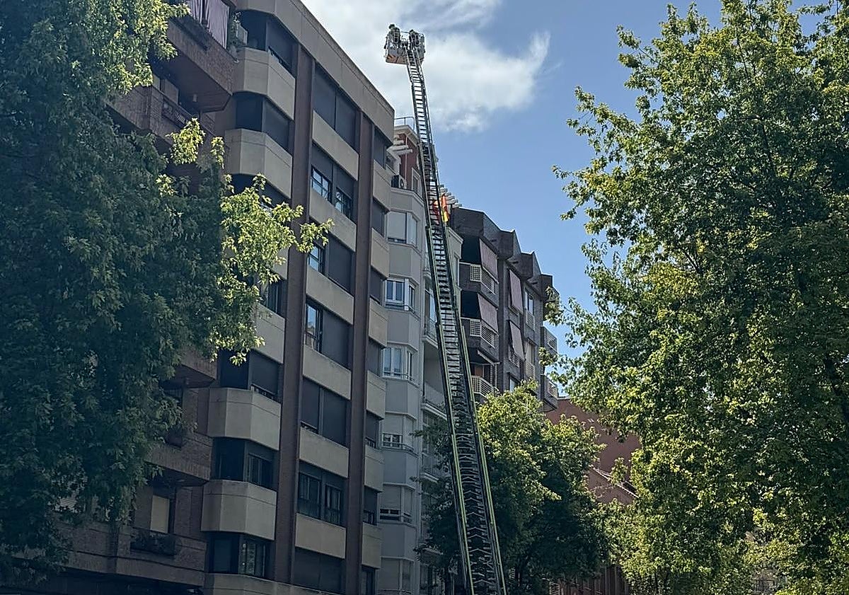 Bomberos de Logroño rescatan a gato atrapado en tejado con ayuda de larga escalera