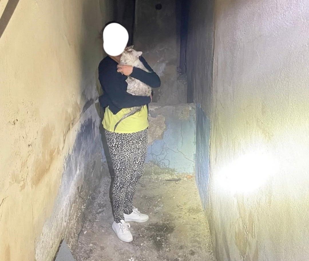 Un complejo rescate permite extraer con vida a un gato caído a un pozo en Villarrubia de los Ojos