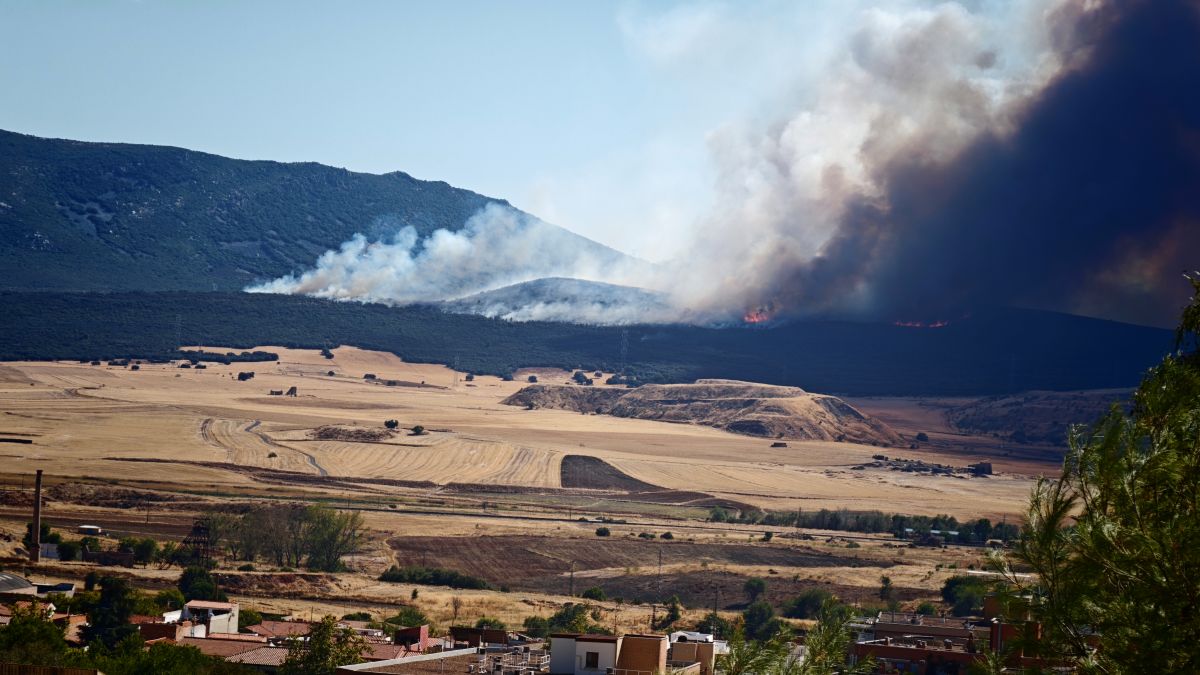 Controlado el incendio forestal de la Dehesa Boyal de Puertollano tras arrasar 150 hectáreas