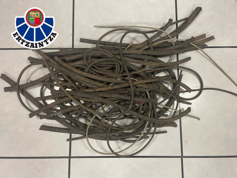 ¡Escandaloso! 68 detenciones y siguen robando en Álava