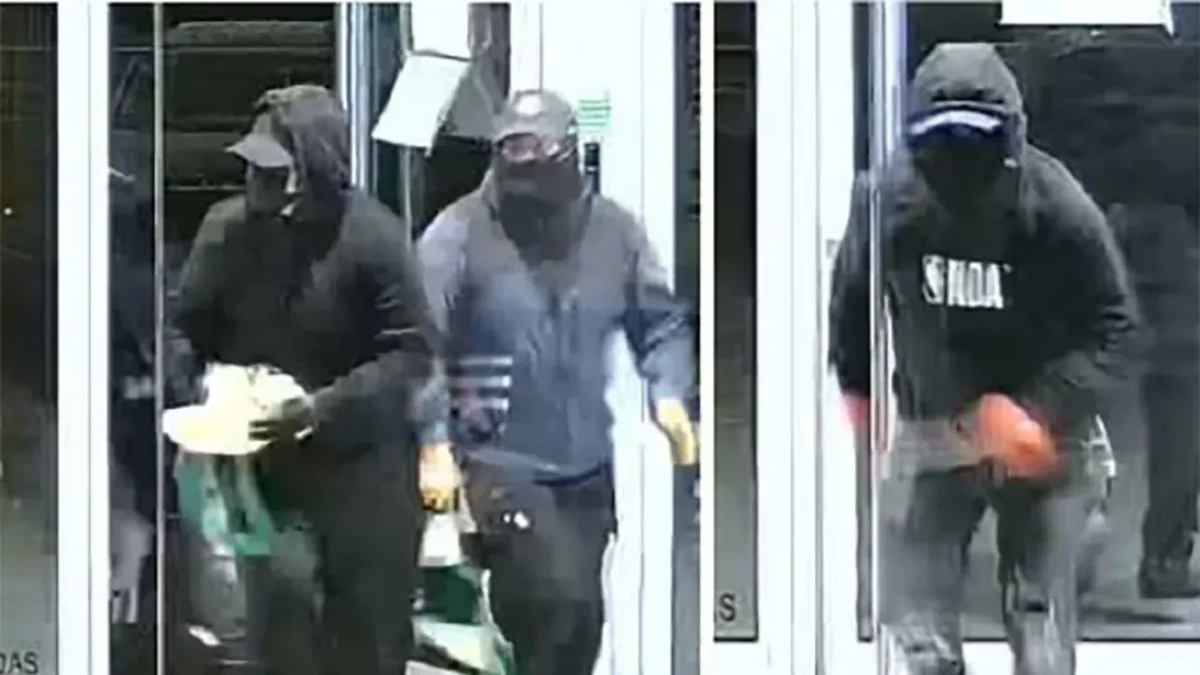Desarticulan banda criminal dedicada a robos en empresas en Catalunya, Aragón y Comunitat Valenciana