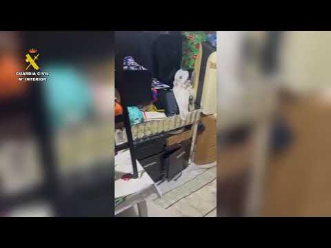 Los due&ntilde;os del piso patera de calle Real, detenidos