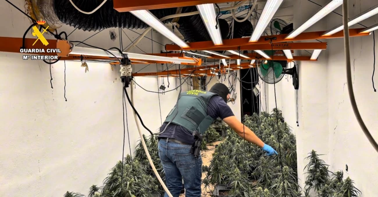 Cae una red de marihuana oculta en chalets
