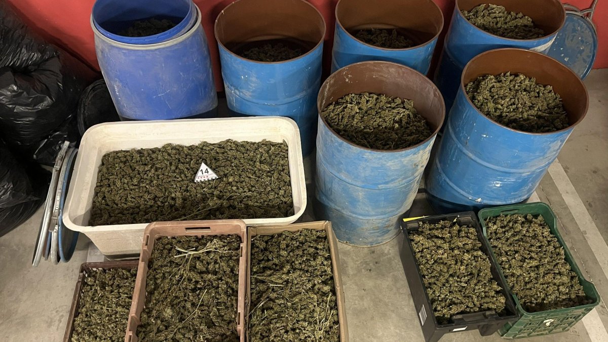 Desmantelan un secadero de marihuana en una antigua granja de Cabra del Camp con 620 kilos de droga