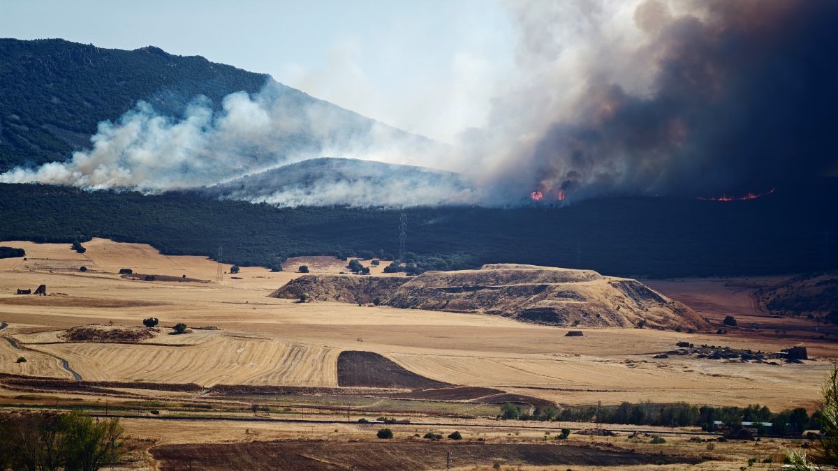 Imágenes del incendio en la Dehesa Boyal de Puertollano