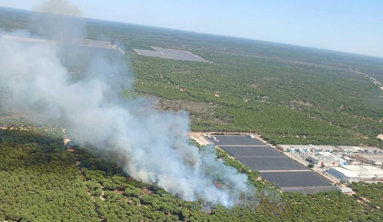 Incendio en Mazagón: Medios aéreos y terrestres del Infoca combaten las llamas