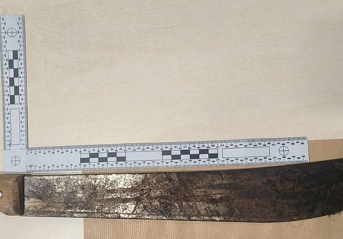 Detenida una mujer en San Bartolomé de Tirajana por amenazar a sus inquilinos con un machete de 53 centímetros