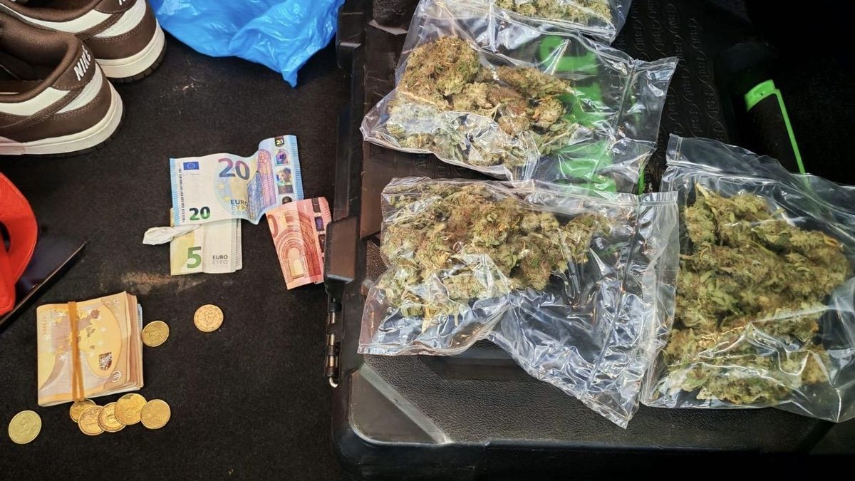 Detienen a un hombre de 34 años con marihuana, cocaína y 1.300 euros en efectivo en San Andrés del Rabanedo.