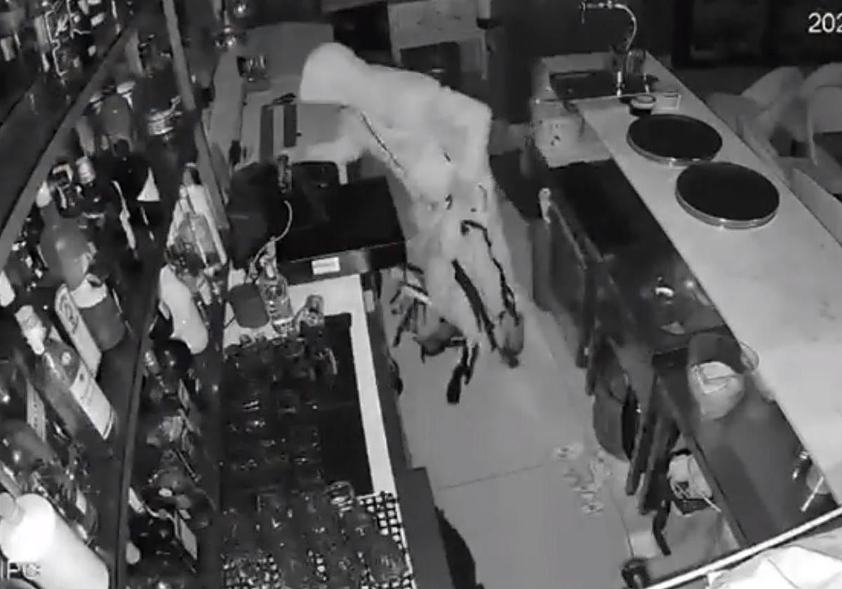 Detenido presunto autor de robos con fuerza en establecimientos de restauración en Fuerteventura