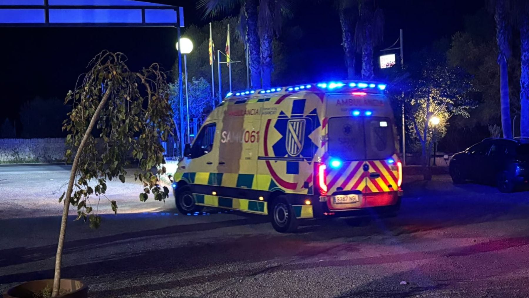 Detenido un hombre alemán por agresión a hombre encontrado maniatado en Palma