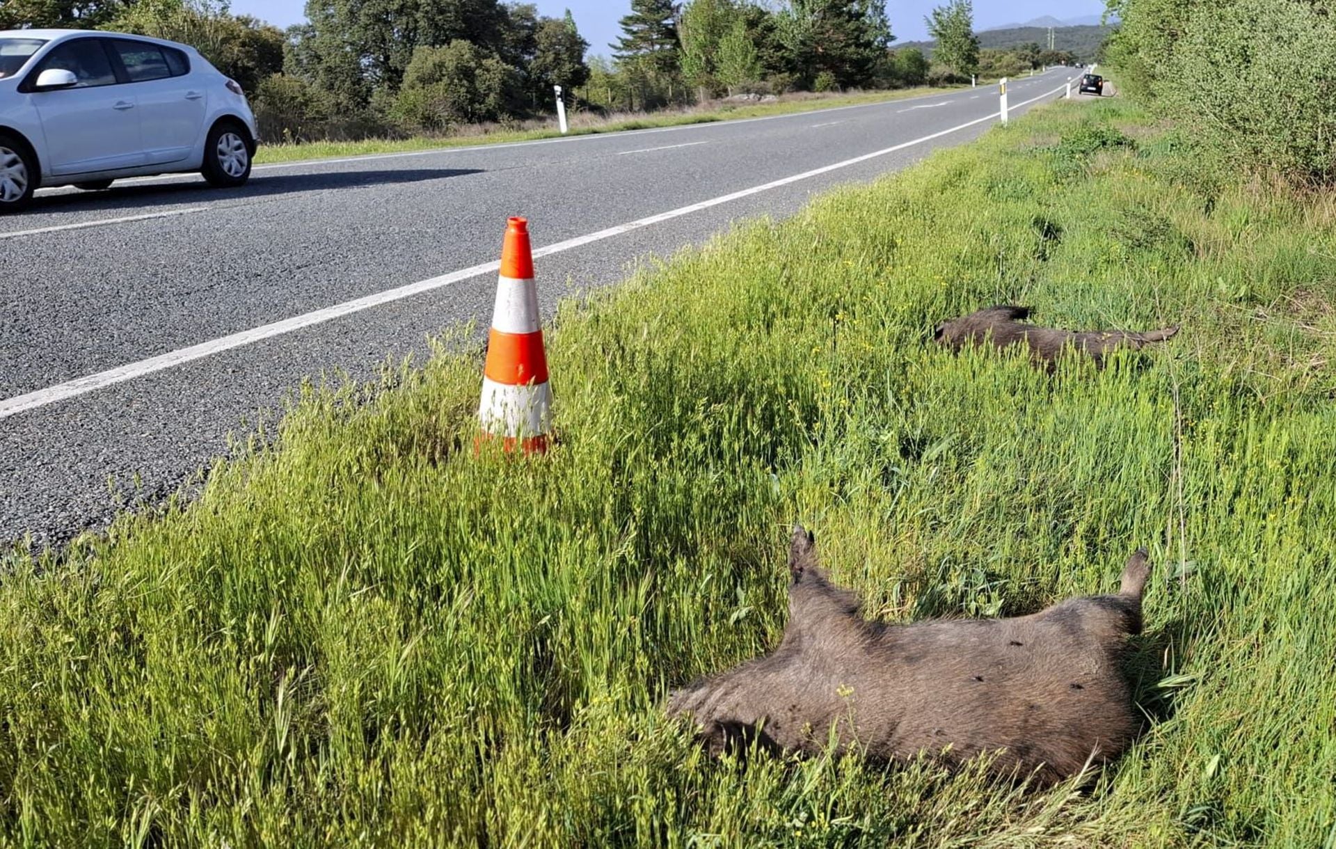 Dos personas resultan heridas al volcar su coche tras atropellar a un jabalí en Lardero