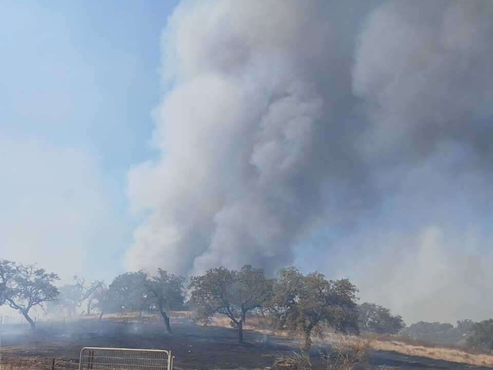 Ampliado el dispositivo del incendio forestal de Santa Bárbara que suma medios de Portugal
