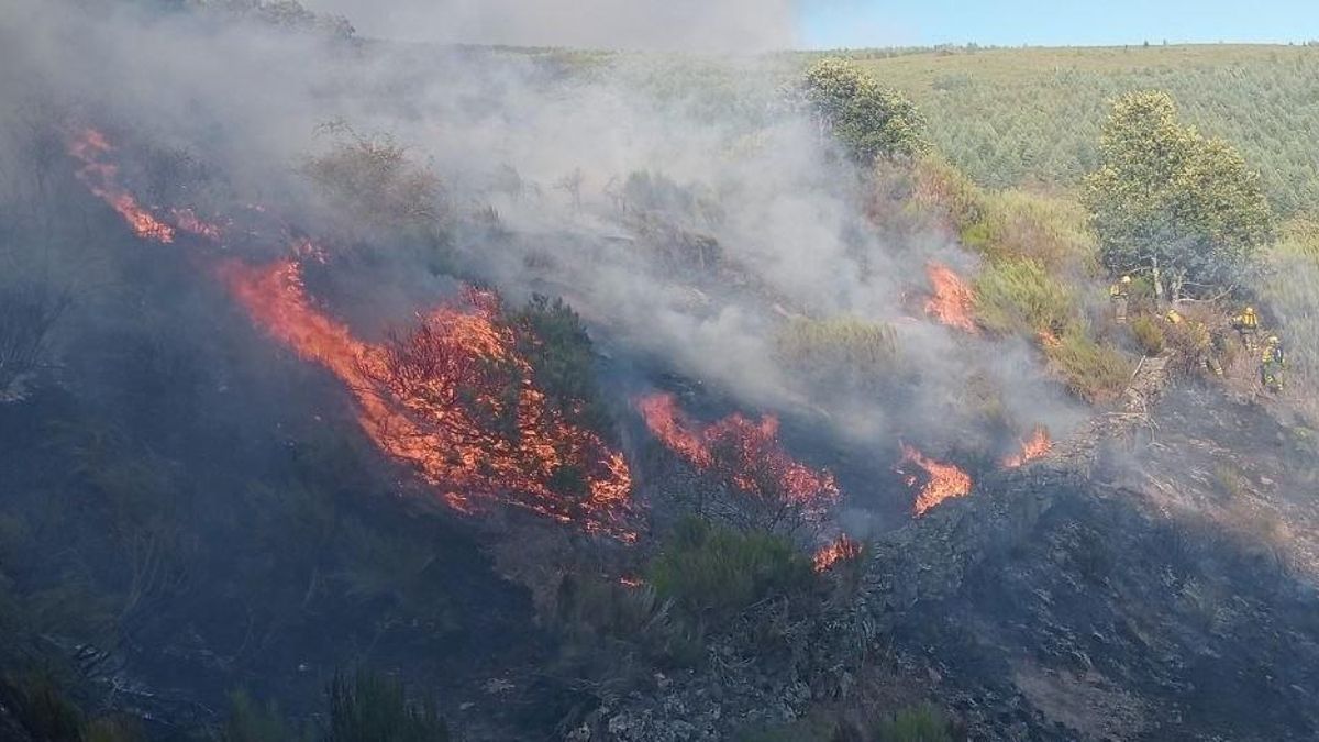 El incendio de Sosas de Laciana evoluciona favorablemente tras una intensa noche de trabajo
