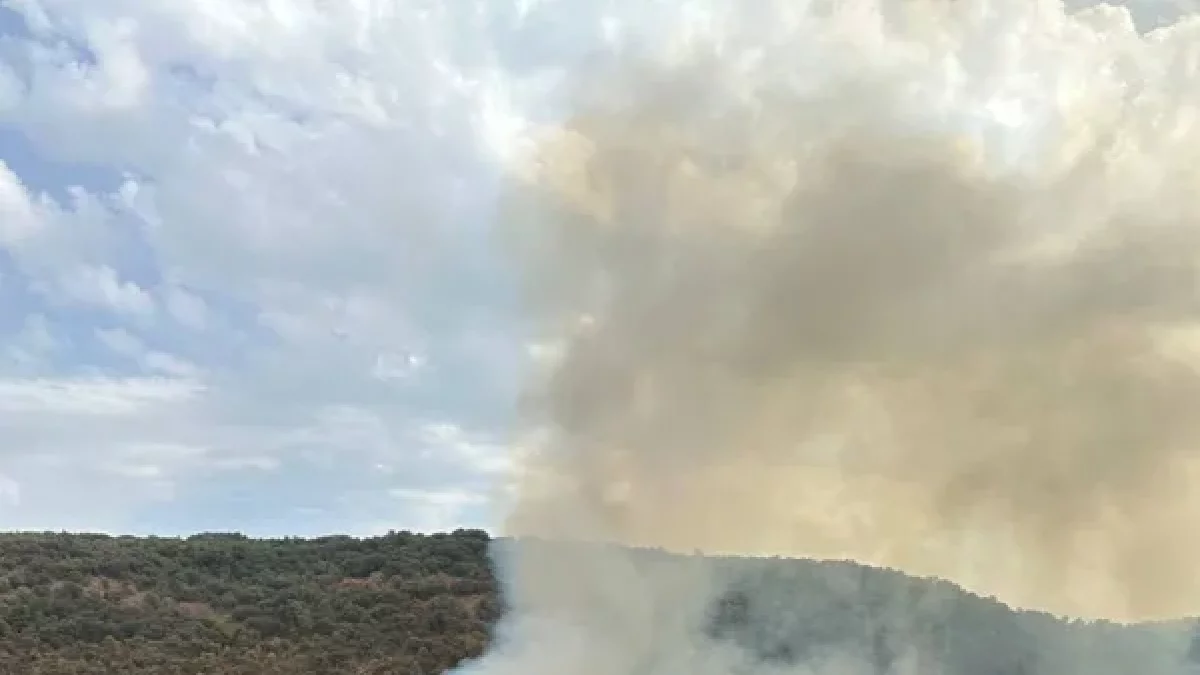 Despliegan amplio dispositivo para sofocar incendio forestal causado por un rayo en La Baronia de Rialb