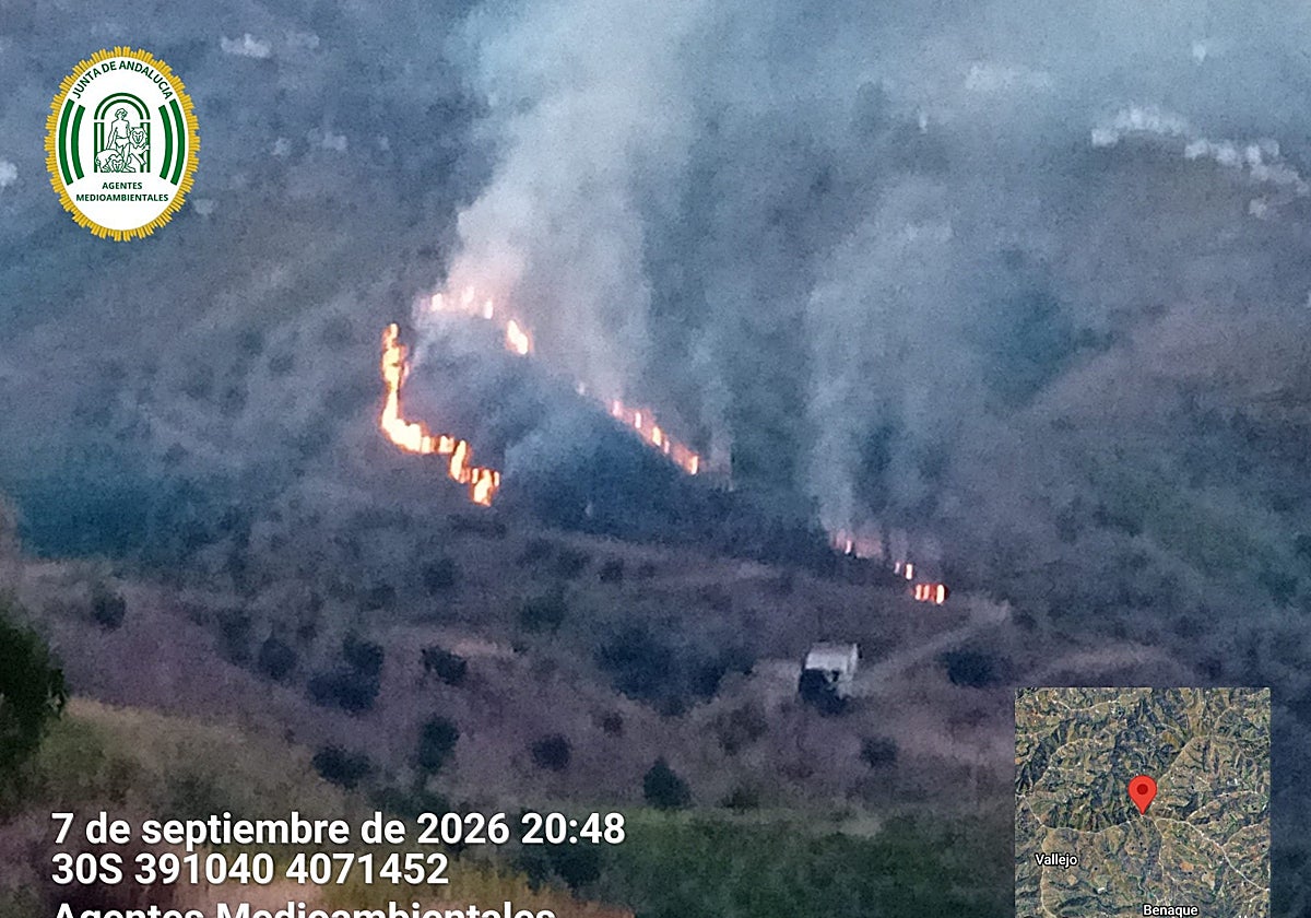 Declarado un incendio forestal en Almáchar con 25 bomberos y dos autobombas del Infoca
